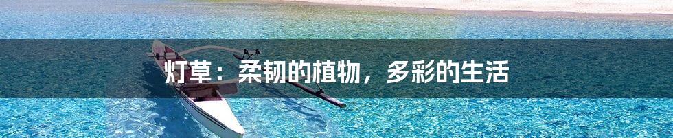 灯草:柔韧的植物,多彩的生活