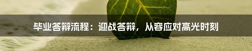 毕业答辩流程：迎战答辩，从容应对高光时刻