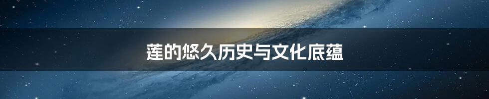 莲的悠久历史与文化底蕴