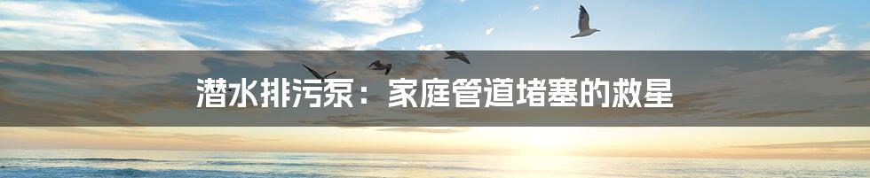 潜水排污泵:家庭管道堵塞的救星