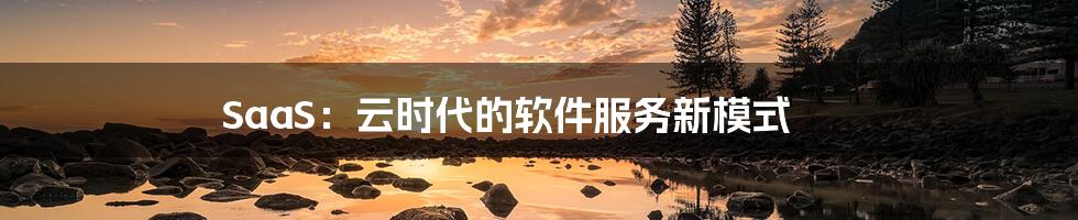 SaaS：云时代的软件服务新模式