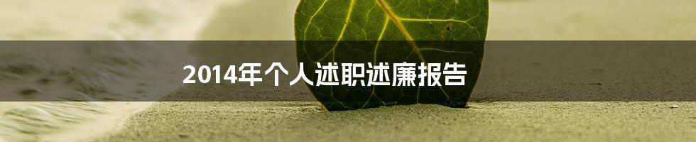 2014年个人述职述廉报告