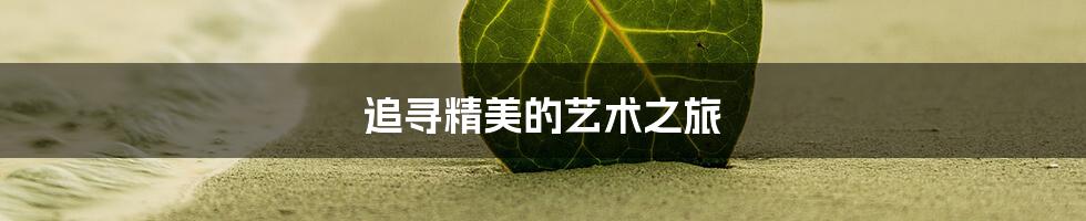 追寻精美的艺术之旅