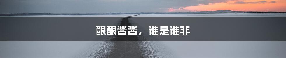 酿酿酱酱,谁是谁非