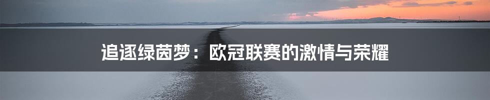 追逐绿茵梦:欧冠联赛的激情与荣耀