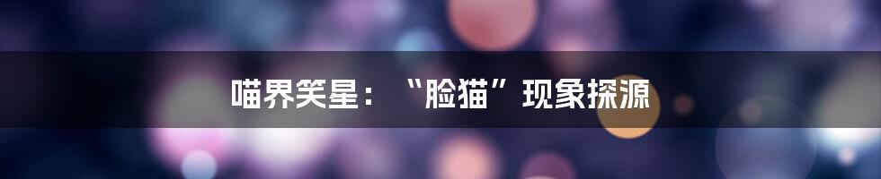 喵界笑星：“脸猫”现象探源
