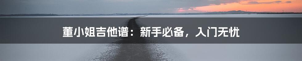 董小姐吉他谱:新手必备,入门无忧