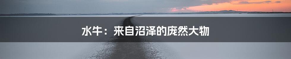水牛:来自沼泽的庞然大物