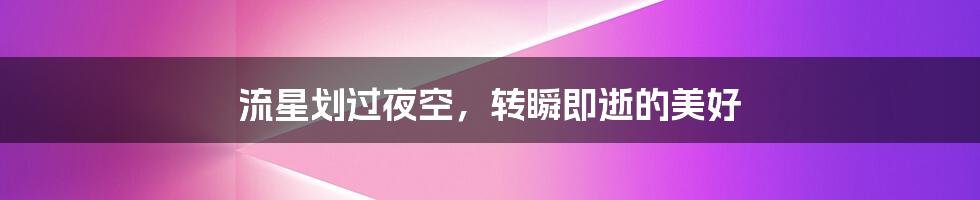 流星划过夜空,转瞬即逝的美好