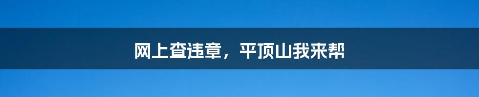 网上查违章,平顶山我来帮