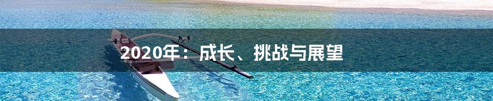 2020年：成长、挑战与展望