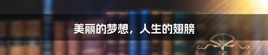 美丽的梦想，人生的翅膀