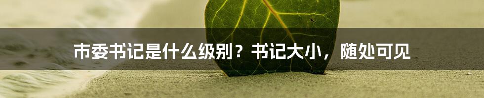 市委书记是什么级别？书记大小，随处可见