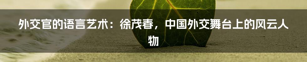 外交官的语言艺术:徐茂春,中国外交舞台上的风云人物