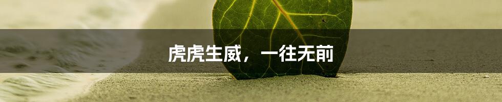 虎虎生威,一往无前