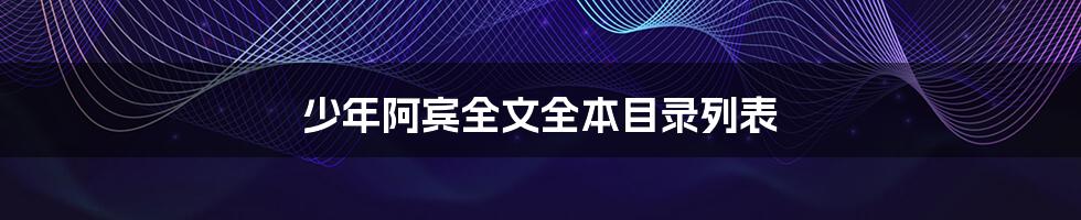 少年阿宾全文全本目录列表