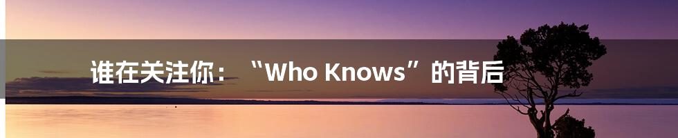 谁在关注你:“Who Knows”的背后