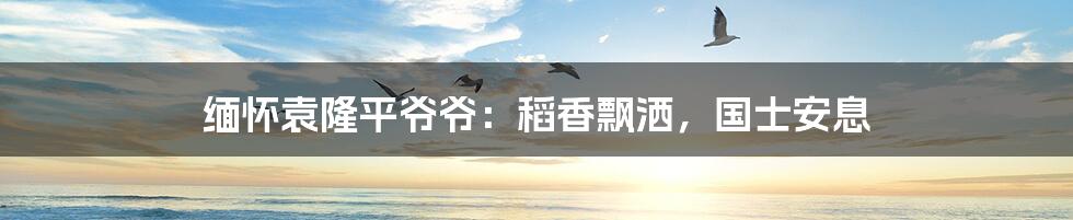 缅怀袁隆平爷爷:稻香飘洒,国士安息