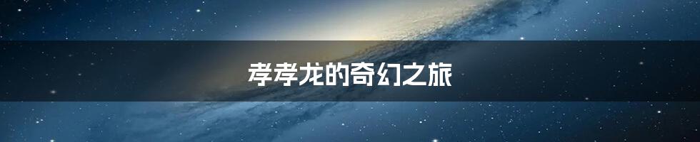 孝孝龙的奇幻之旅