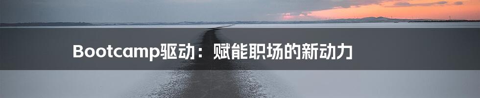 Bootcamp驱动:赋能职场的新动力