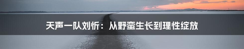 天声一队刘忻:从野蛮生长到理性绽放