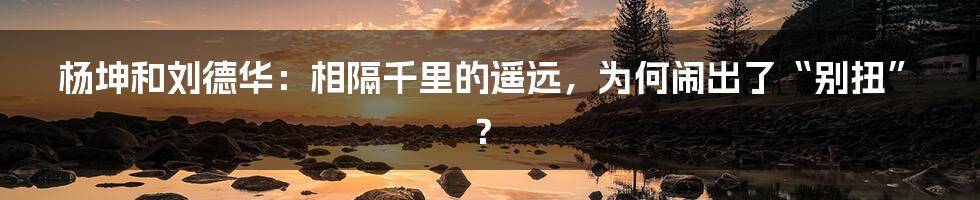 杨坤和刘德华:相隔千里的遥远,为何闹出了“别扭”?