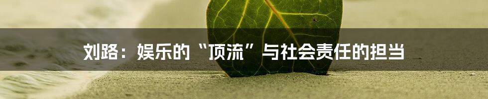 刘路:娱乐的“顶流”与社会责任的担当