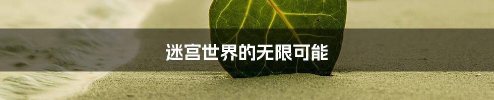 迷宫世界的无限可能