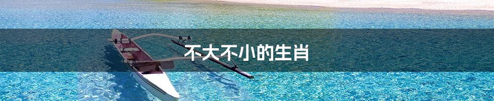 不大不小的生肖