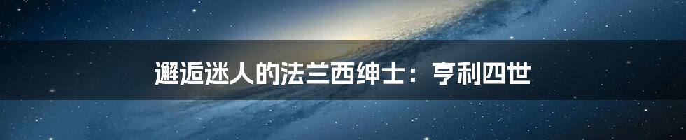 邂逅迷人的法兰西绅士：亨利四世