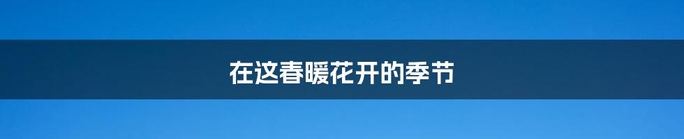 在这春暖花开的季节