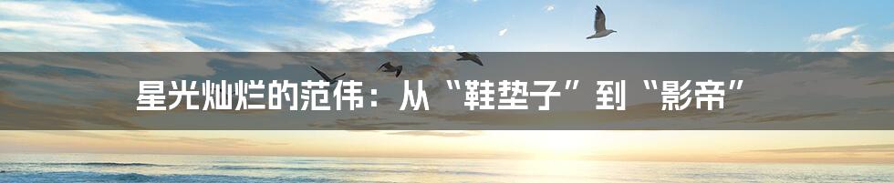 星光灿烂的范伟：从“鞋垫子”到“影帝”