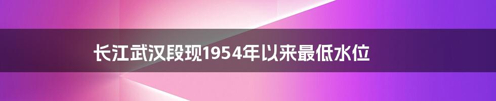 长江武汉段现1954年以来最低水位