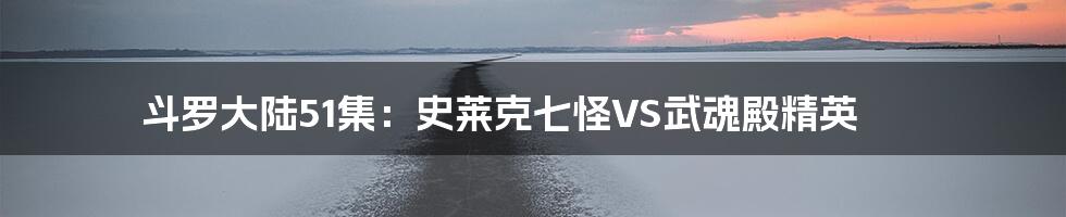 斗罗大陆51集：史莱克七怪VS武魂殿精英