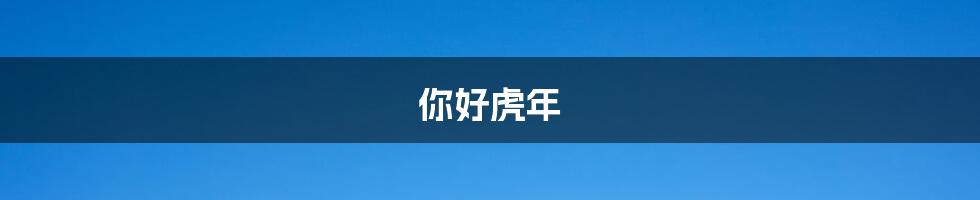 你好虎年