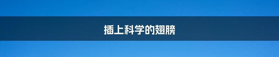 插上科学的翅膀