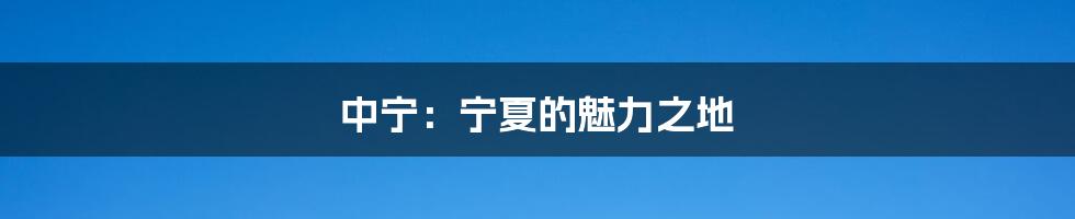 中宁:宁夏的魅力之地