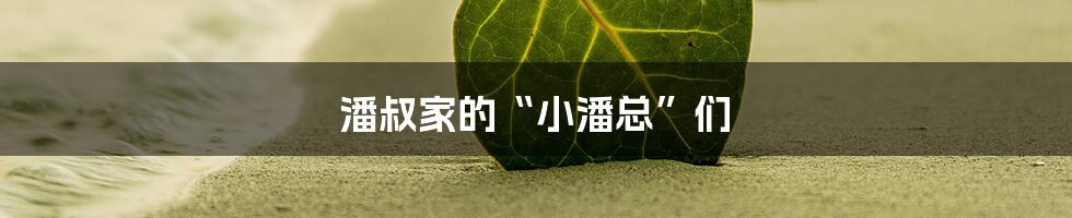 潘叔家的“小潘总”们