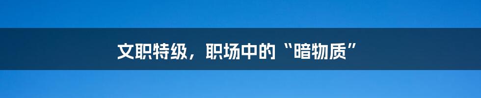 文职特级,职场中的“暗物质”