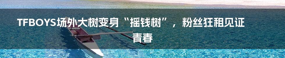 TFBOYS场外大树变身“摇钱树”,粉丝狂租见证青春