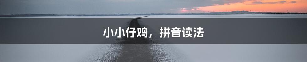 小小仔鸡,拼音读法