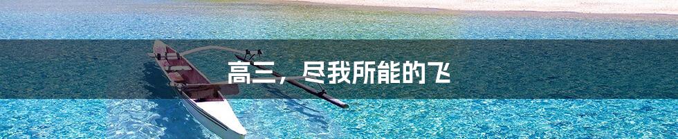 高三,尽我所能的飞