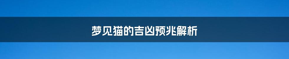 梦见猫的吉凶预兆解析
