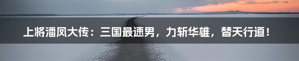 上将潘凤大传：三国最速男，力斩华雄，替天行道！