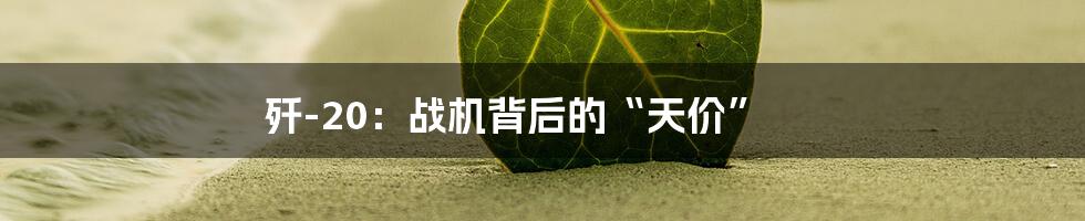 歼-20：战机背后的“天价”