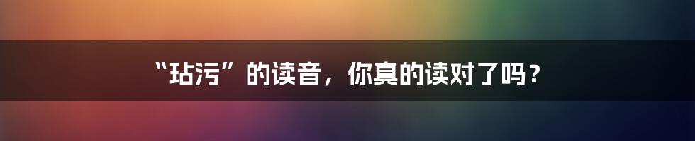 “玷污”的读音，你真的读对了吗？
