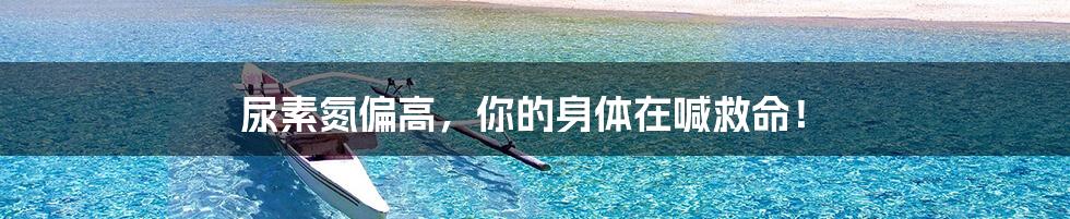 尿素氮偏高,你的身体在喊救命!