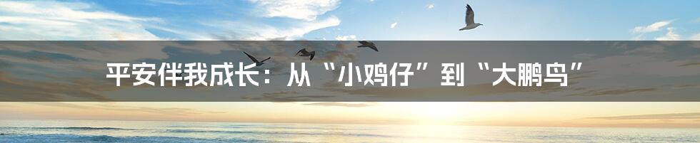 平安伴我成长:从“小鸡仔”到“大鹏鸟”
