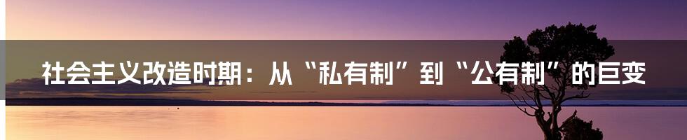 社会主义改造时期：从“私有制”到“公有制”的巨变