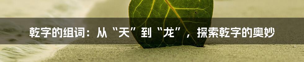 乾字的组词：从“天”到“龙”，探索乾字的奥妙